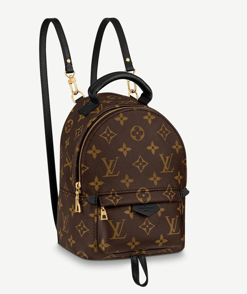 Brown LV Monogram Mini Backpack